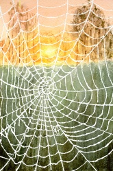 Click here to view the photos available in this gallery.